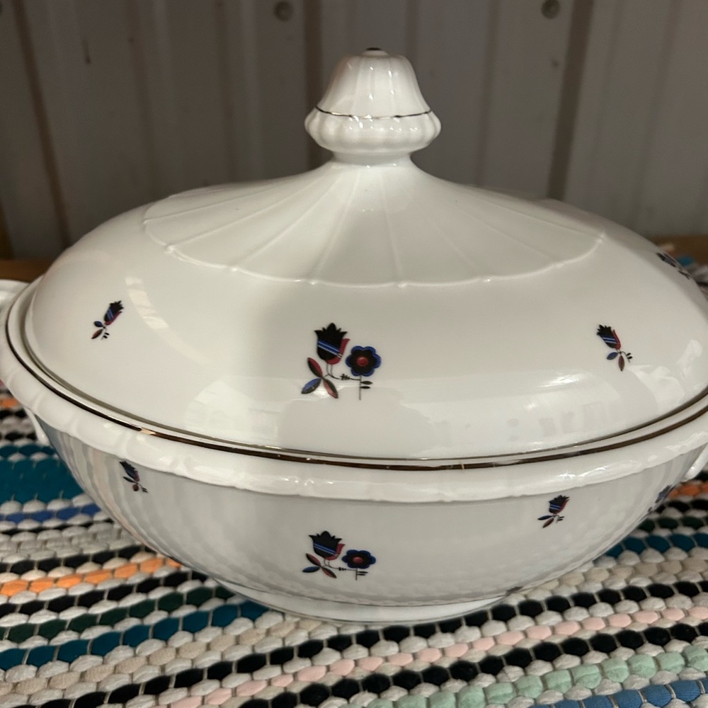 Savor the Elegance: TK Thun Bohemian China Soup Bowl – A Chic Culinary Delight!